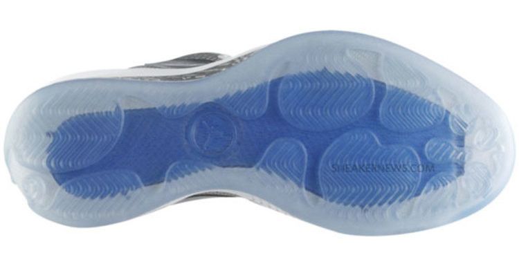 Air Jordan 2010 Silver Anniversary
