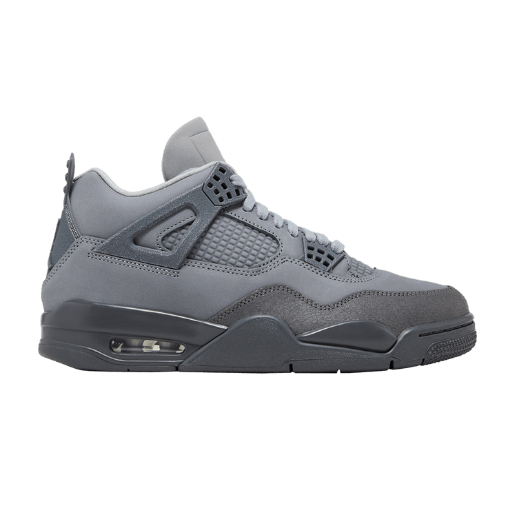 Air Jordan 4 Retro SE Paris Olympics Wet Cement
