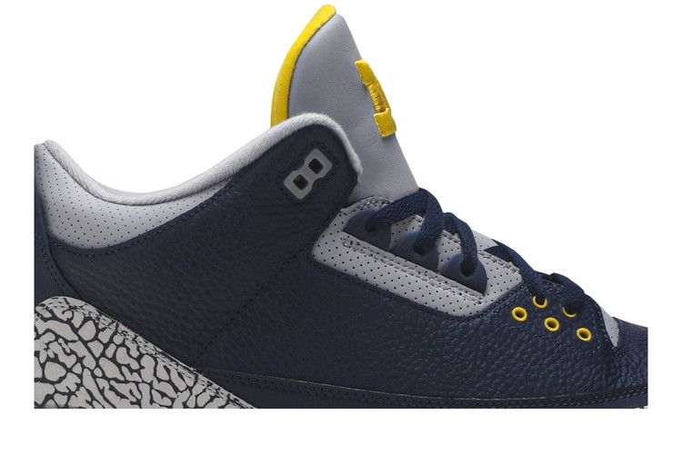 Air Jordan 3 Retro Michigan PE