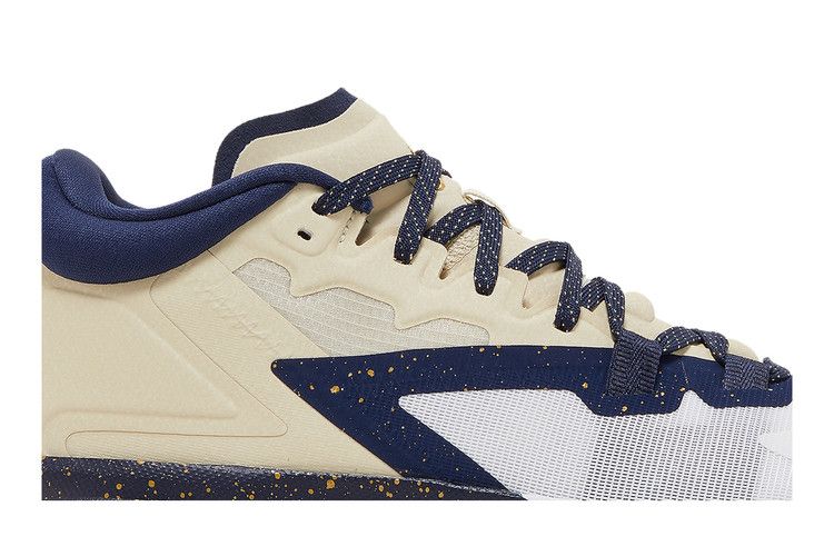 Air Jordan Zion 1 Pelicans