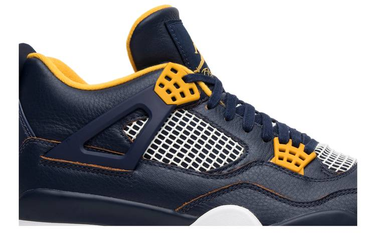 Air Jordan 4 Retro Dunk From Above