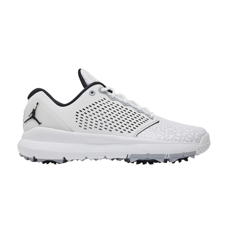 Air Jordan Trainer ST G White Wolf Grey