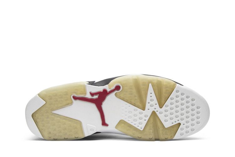Air Jordan 6 Retro Carmine CDP (2008)