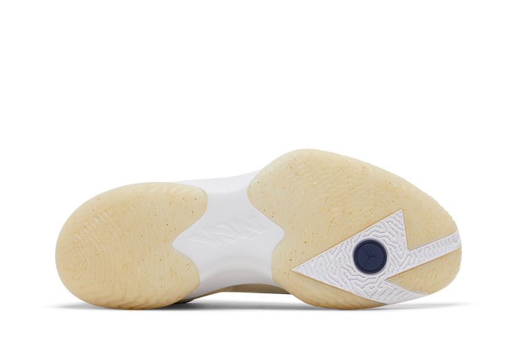 Air Jordan Zion 1 Pelicans