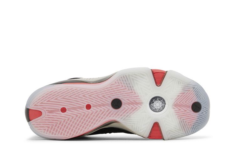 Air Jordan 38 Fundamentals (Clear Sole)