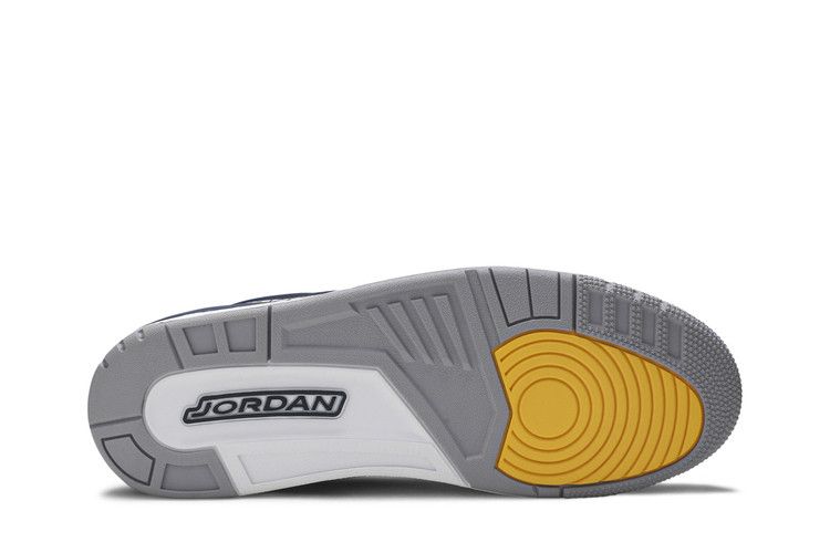Air Jordan 3 Retro Michigan PE