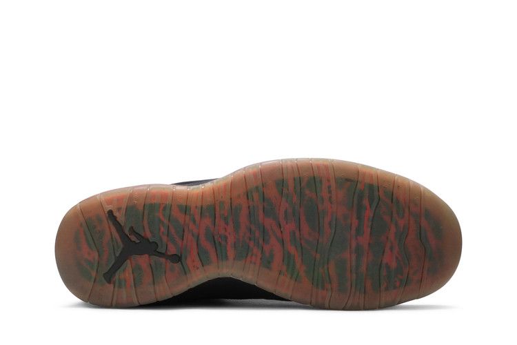 Air Jordan 10 Retro Doernbecher