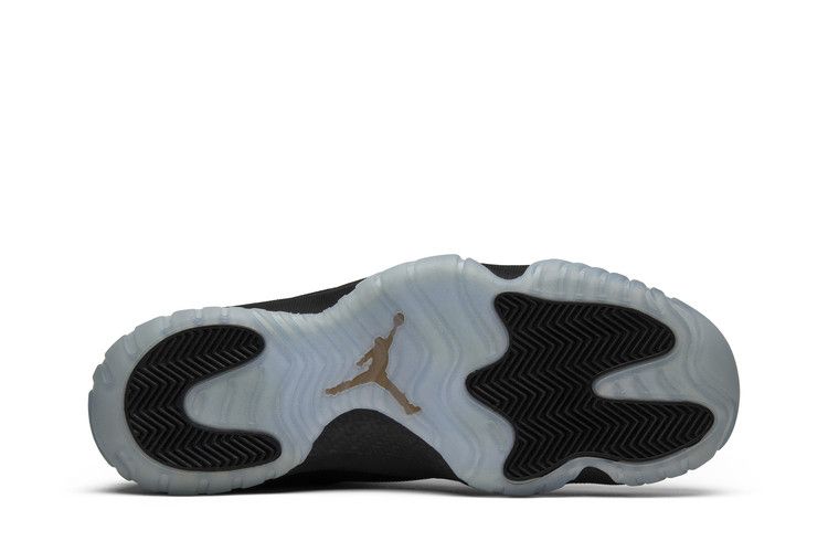Air Jordan Future Black Ice
