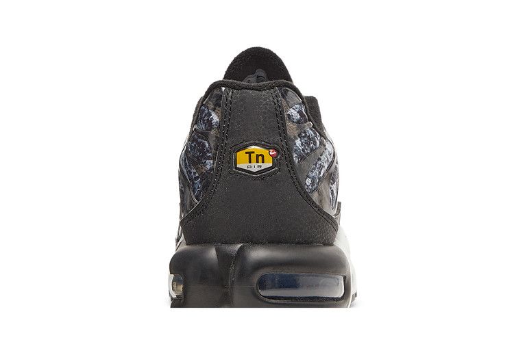 Nike Air Max Plus Dark Smoke Grey