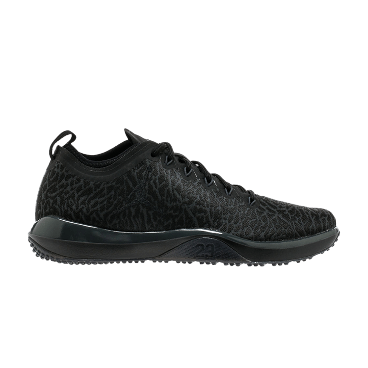 Air Jordan Trainer 1 Low Black/Black-Anthracite