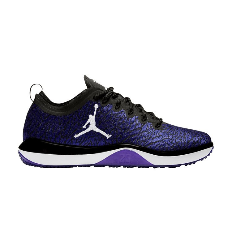 Air Jordan Trainer 1 Low Concord