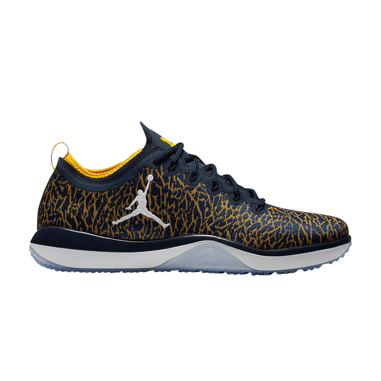 Air Jordan Trainer 1 Low Michigan