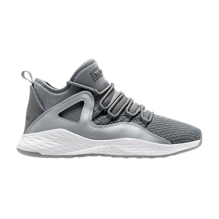 Air Jordan Formula 23 Cool Grey