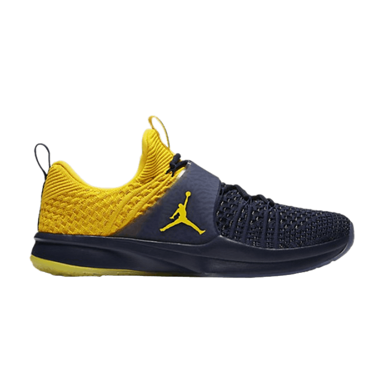 Air Jordan Trainer 2 Flyknit Michigan