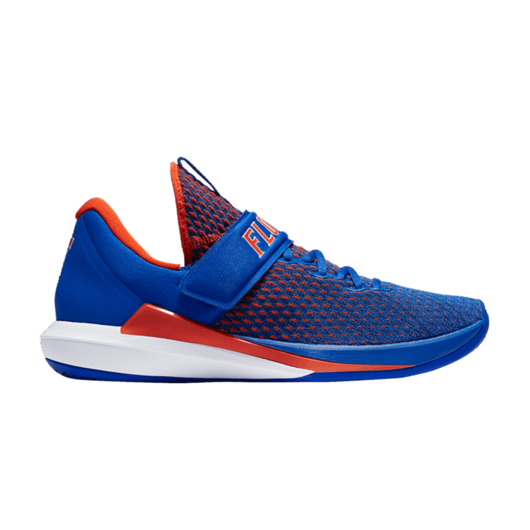 Air Jordan Trainer 3 Florida Gators