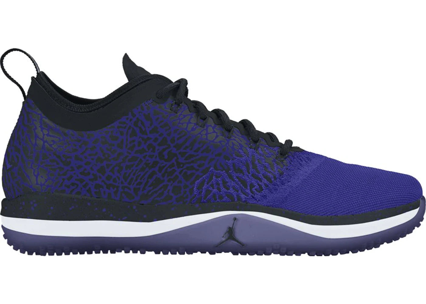 Air Jordan Trainer 1 Low Concord