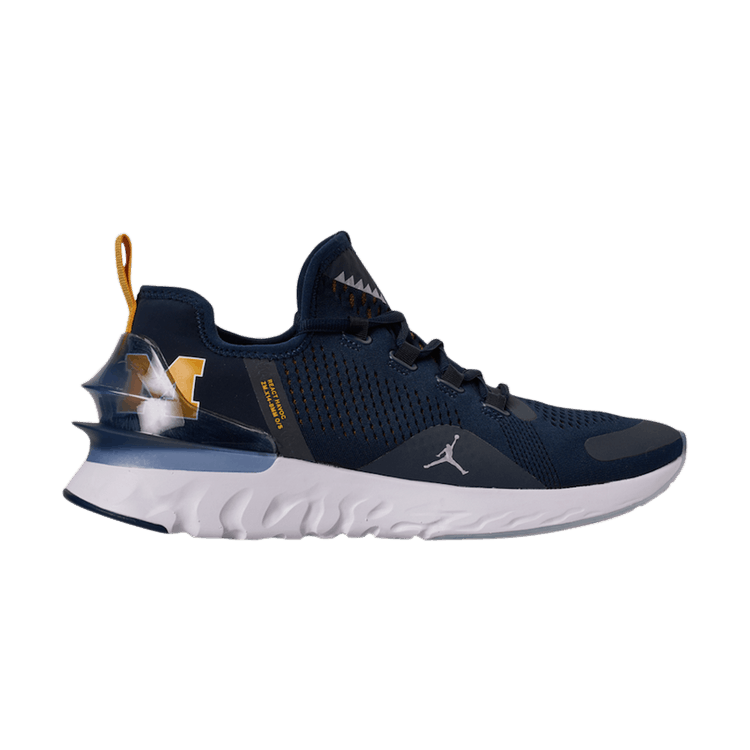 Air Jordan React Havoc Michigan