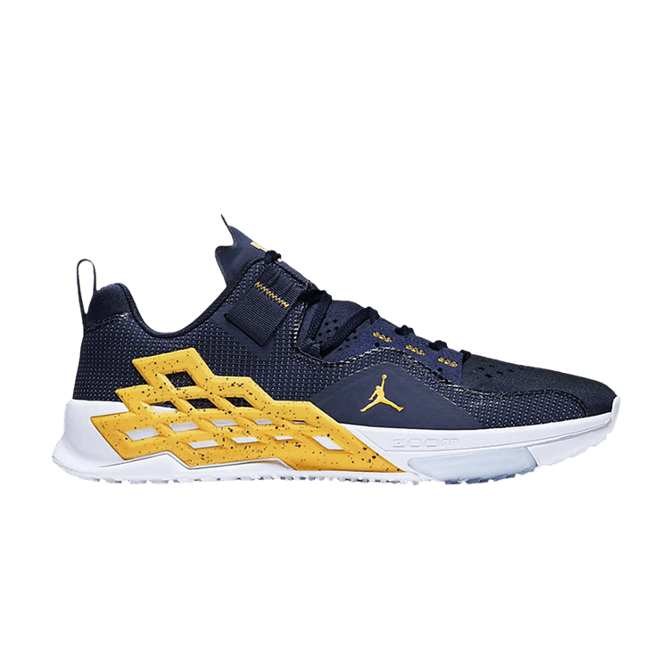 Air Jordan Alpha 360 TR Michigan